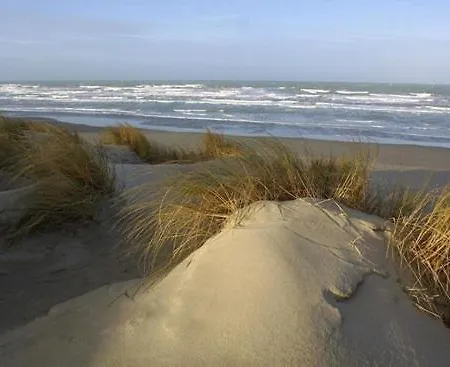 Coté Dune Le Crotoy