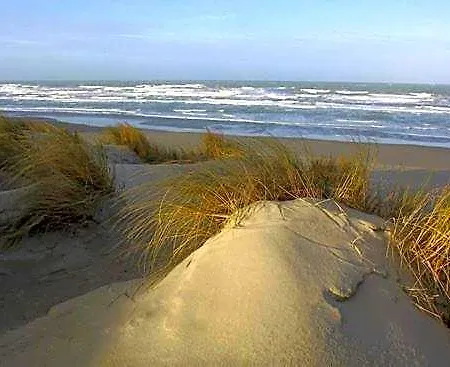 Cote Dune 3*